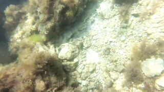 Голубая бухта 35-я батарея Чёрное море июнь 2018 рыбалка у берега