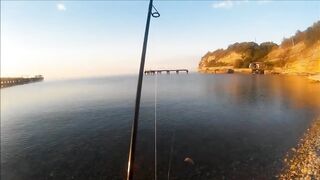 Голубая бухта, Геленджик - рокфиш у берега, 09.2016