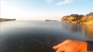 Голубая бухта, Геленджик - рокфиш у берега, 09.2016