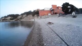 Голубая бухта, Геленджик - рокфиш у берега, 09.2016