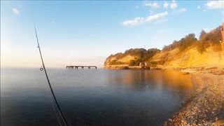 Голубая бухта, Геленджик - рокфиш у берега, 09.2016