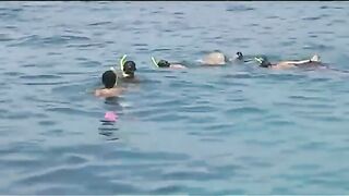 Хотел поймать нормальную рыбу после нырялки