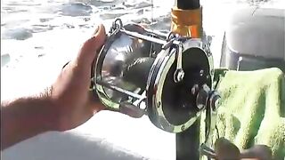 Хотел поймать нормальную рыбу после нырялки