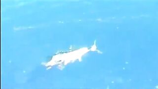 Хотел поймать нормальную рыбу после нырялки