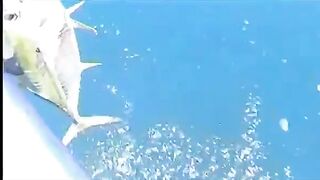 Хотел поймать нормальную рыбу после нырялки