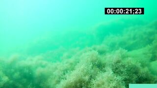 Бухта Инал фридайвинг и подводная фотоохота рядом с рыбалкой это норм?