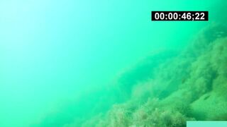 Бухта Инал фридайвинг и подводная фотоохота рядом с рыбалкой это норм?