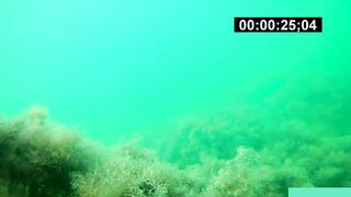 Бухта Инал фридайвинг и подводная фотоохота рядом с рыбалкой это норм?