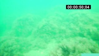 Бухта Инал фридайвинг и подводная фотоохота рядом с рыбалкой это норм?