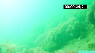 Бухта Инал фридайвинг и подводная фотоохота рядом с рыбалкой это норм?