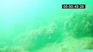 Бухта Инал фридайвинг и подводная фотоохота рядом с рыбалкой это норм?