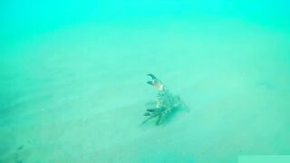 Бухта Инал фридайвинг и подводная фотоохота рядом с рыбалкой это норм?