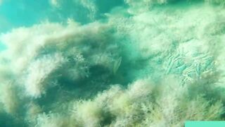 Бухта Инал фридайвинг и подводная фотоохота рядом с рыбалкой это норм?