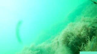 Бухта Инал фридайвинг и подводная фотоохота рядом с рыбалкой это норм?