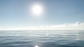 Ялта и Кацивели - луфарь и ставрида у берега, 29.10.21