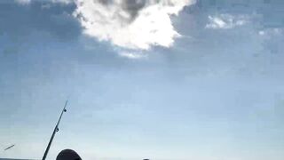 Ялта и Кацивели - луфарь и ставрида у берега, 29.10.21