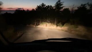 Ялта и Кацивели - луфарь и ставрида у берега, 29.10.21