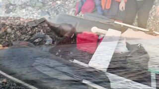 Ялта и Кацивели - луфарь и ставрида у берега, 29.10.21