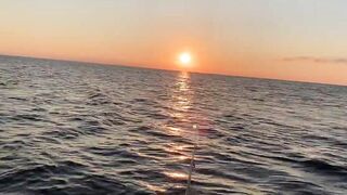 Ялта и Кацивели - луфарь и ставрида у берега, 29.10.21