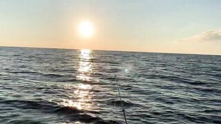 Ялта и Кацивели - луфарь и ставрида у берега, 29.10.21