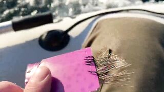 Ялта и Кацивели - луфарь и ставрида у берега, 29.10.21