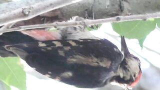 Коктебель, 2021 морская рыбалка у берега без суеты