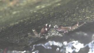 Коктебель, 2021 морская рыбалка у берега без суеты