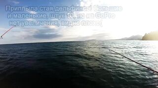 Крым и Коктебель, рыбалка у Золотых Ворот