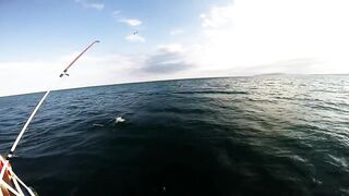 Крым и Коктебель, рыбалка у Золотых Ворот