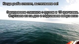 Крым и Коктебель, рыбалка у Золотых Ворот