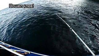 Крым и Коктебель, рыбалка у Золотых Ворот