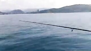 Дагомыс, Чёрное море: ловля ставриды у берега 13.07.24