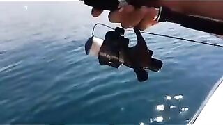 Дагомыс, Чёрное море: ловля ставриды у берега 13.07.24