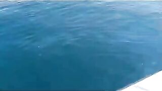 Дагомыс, Чёрное море: ловля ставриды у берега 13.07.24