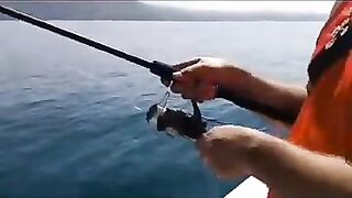 Дагомыс, Чёрное море: ловля ставриды у берега 13.07.24