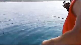 Дагомыс, Чёрное море: ловля ставриды у берега 13.07.24