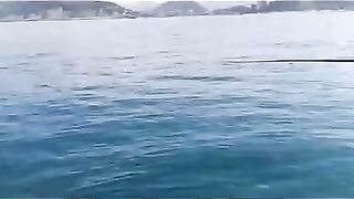 Дагомыс, Чёрное море: ловля ставриды у берега 13.07.24