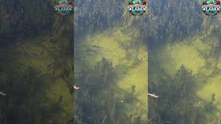 Lara (Лара), Турция. Почему рыбалка у берега так популярна.