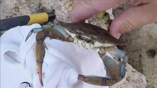 Lara Beach (Лара, Анталья, Турция) - береговая рыбалка