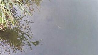 Lara Beach (Лара, Анталья, Турция) - береговая рыбалка