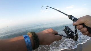 Lara Beach (Лара), ультралайт у берега