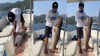 Göcek (Гёджек): охота за крупной рыбой и морская рыбалка