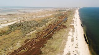 Азовское море: калкан и ставрида у берега