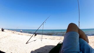 Азовское море: калкан и ставрида у берега