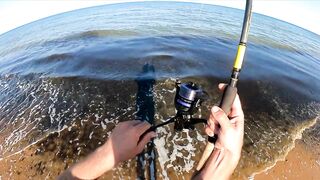 Азовское море: калкан и ставрида у берега