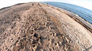 Азовское море: калкан и ставрида у берега