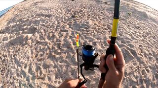 Азовское море: калкан и ставрида у берега