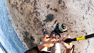 Азовское море: калкан и ставрида у берега