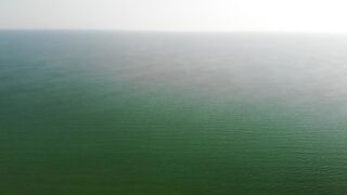 Азовское море: калкан и ставрида у берега