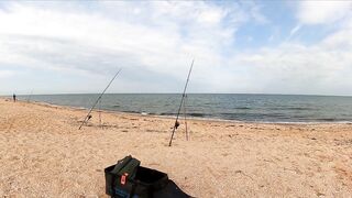 Азовское море: калкан и ставрида у берега